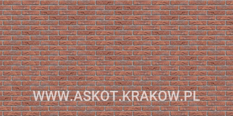 plytka-katowa-recznie-formowana-koper-rood-engels-realizacja6