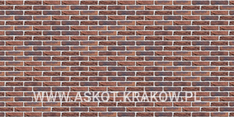 plytka-katowa-recznie-formowana-koper-roodbont-engels-realizacja13