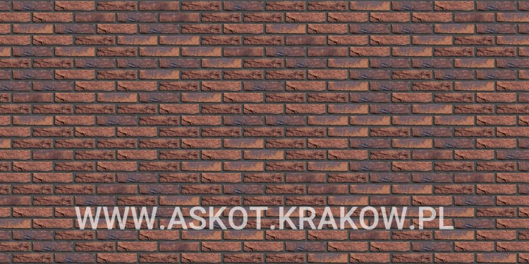 plytka-katowa-recznie-formowana-koper-roodbont-engels-realizacja15