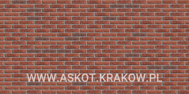 plytka-katowa-recznie-formowana-avondgloed-engels-realizacja3