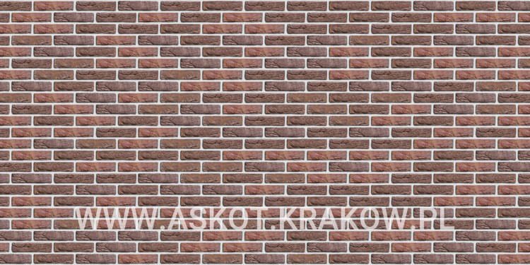 cegla-recznie-formowana-engels-rustiek-gereduceerd-engels-realizacja5