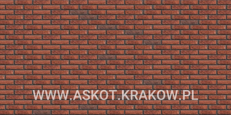 plytka-klinkier-pattern-czarna-fuga-avondgloed-engels.jpg