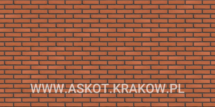 plytka-klinkier-pattern-czarna-fuga-oranjerood-engels.jpg