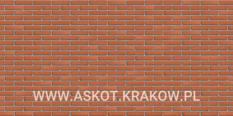 plytka-klinkier-pattern-szara-fuga-oranjerood-engels.jpg
