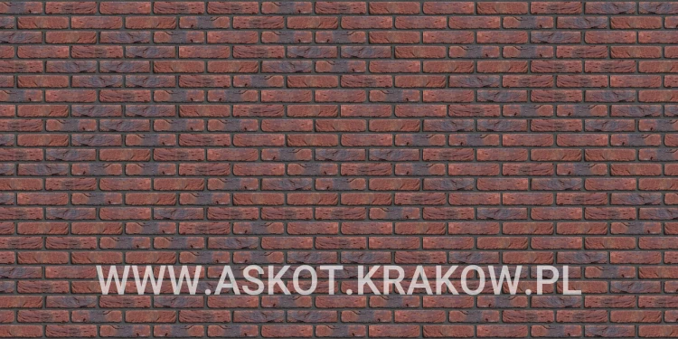 plytka-klinkier-pattern-czarna-fuga-pompeii-antiek-engels.jpg