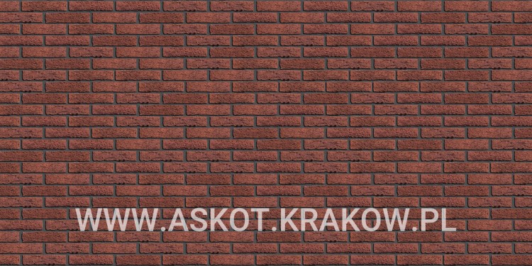 plytka-klinkier-pattern-bez-fugi-rood-bezaagseld-engels.jpg
