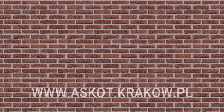 plytka-klinkier-pattern-szara-fuga-rood-bezaagseld-engels.jpg
