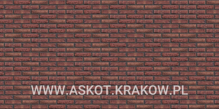plytka-klinkier-pattern-czarna-fuga-rood-bezaagseld-gereduceerd-engels.jpg