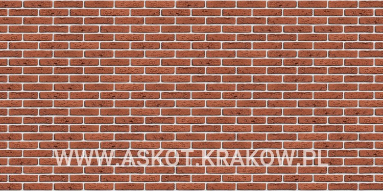plytka-klinkier-pattern-biala-fuga-provinciaals-oranje-engels.jpg