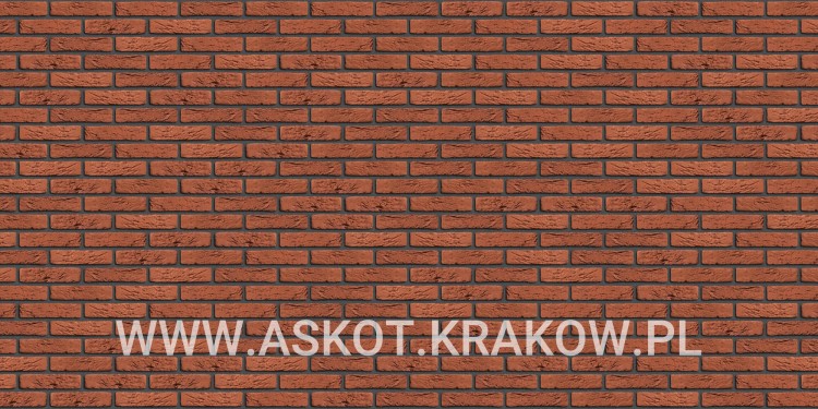 plytka-klinkier-pattern-czarna-fuga-provinciaals-oranje-engels.jpg