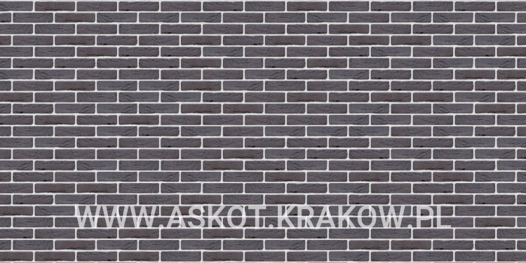 plytka-klinkier-pattern-biala-fuga-ravemzwart-engels.jpg