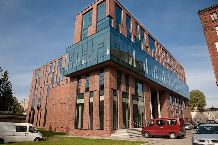 cegla-klinkierowa-maszynowa-patoka-classic-lode-realizacja2