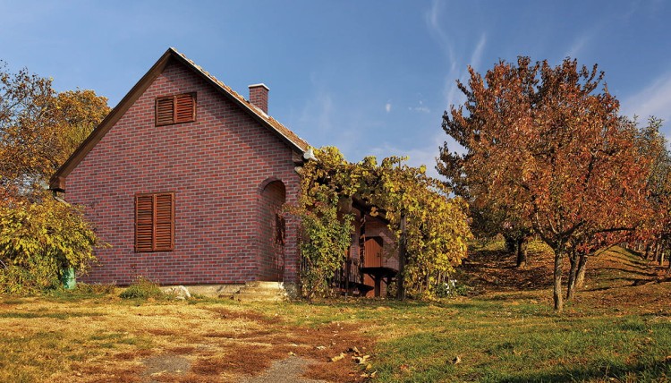 plytka-klinkierowa-hf21-aria-rustica-king-klinker-przysucha-realizacja1